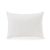 Live From Snack Time Follow Your Dreams for Your Dog White Accent Pillow