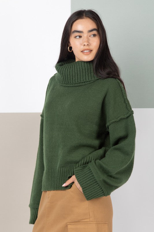Cozy Turtleneck Sweater Top