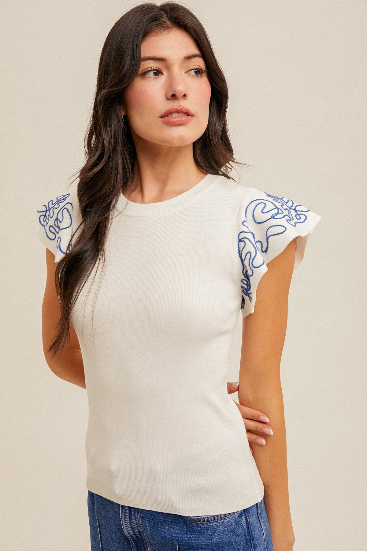 Embroidered Ruffle Sleeve Sweater Top