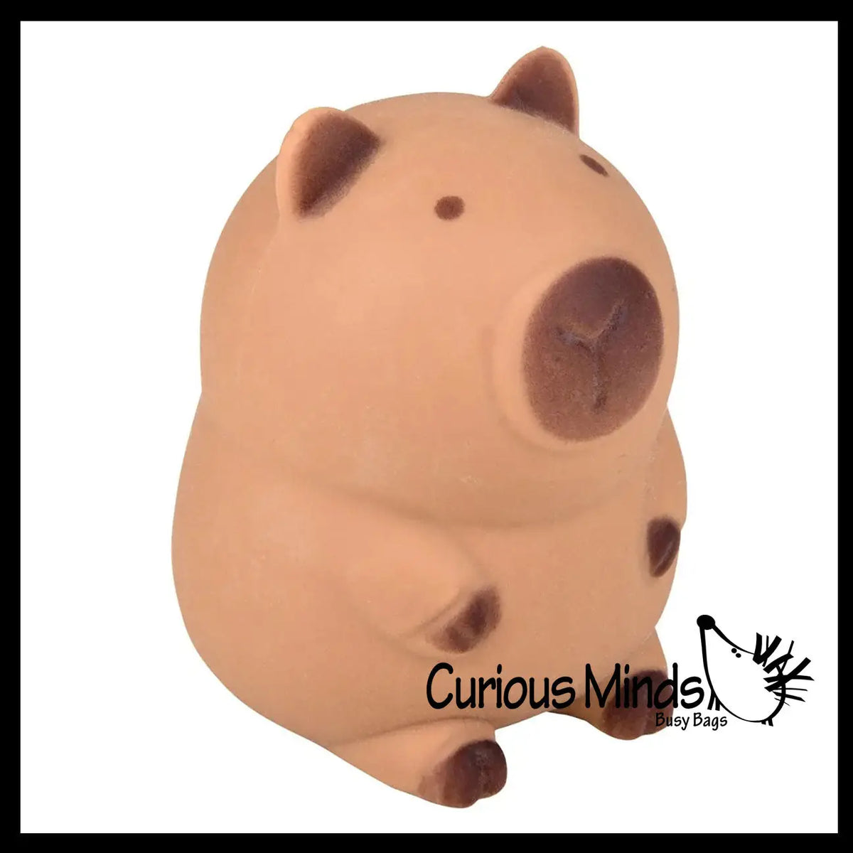 Squishy Capybara