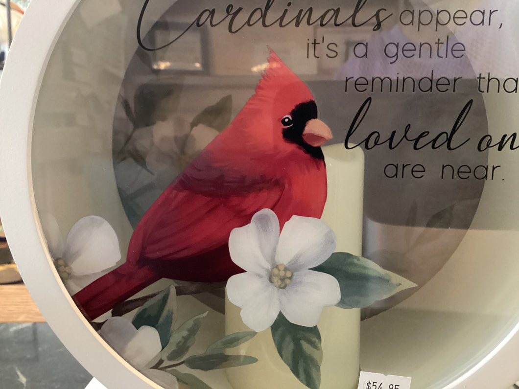 Shadowbox Lantern Cardinal