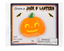 Load image into Gallery viewer, Jack O Lantern Growers
