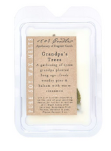 Load image into Gallery viewer, 1803 Holiday Wax Melters
