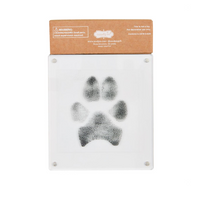 Acrylic Paw Print Frame