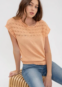 Eyelet Yoke Sweater Knit Top