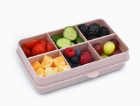 Mini Snackle Box - 6 Compartment