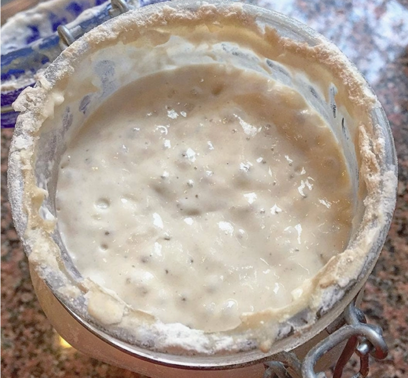 Sourdough Starter