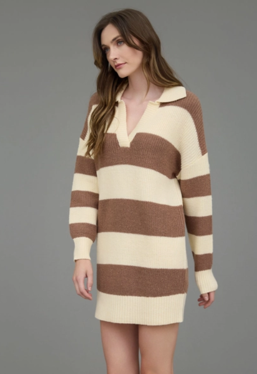 Stripe Collared Long Sleeve Mini Sweater Dress