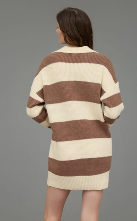 Stripe Collared Long Sleeve Mini Sweater Dress