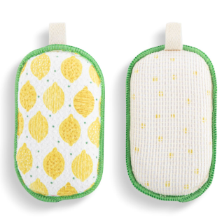 Absorbent Reversible Sponges Set of 2