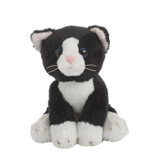 Mini Plush Cats