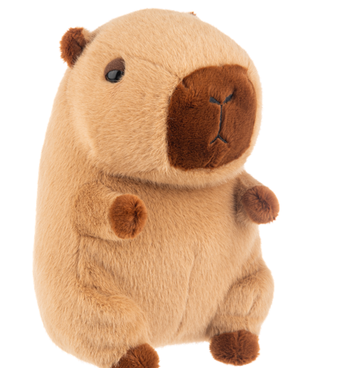 Cruz Capybara