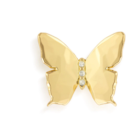 Butterfly Magnetic Frame Charm - 1.5in