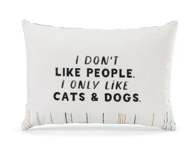 Live From Snack Time I Only Like Cats & Dogs Blue Accent Pillow