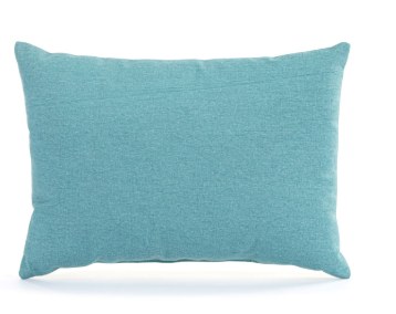 Live From Snack Time I Only Like Cats & Dogs Blue Accent Pillow
