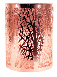 Scent Chip Shades