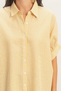 Striped Short Sleeve Button-Front Blouse