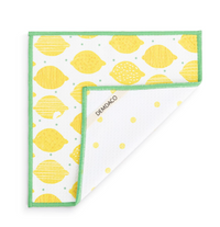 Absorbent Reversible Dishcloths Set of 2