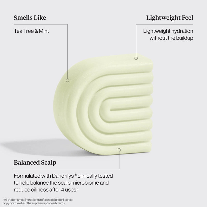 Tea Tree & Mint Clarifying Shampoo & Conditioner Bar Combo