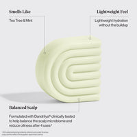 Tea Tree & Mint Clarifying Shampoo & Conditioner Bar Combo