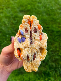 MY BIG FAT COOKIE Party Remix (M&M's)