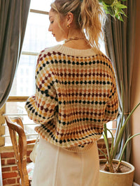 Plus Multicolor Crew Knit Sweater