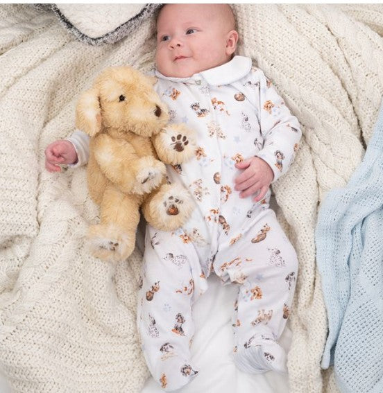 Little Paws Dog Printed Sleepsuit